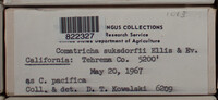 Image Associated With the Occurence
